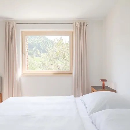 Lägenhet Haus Des Onkels Hittisau