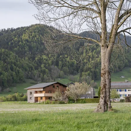 Haus Des Onkels Hittisau